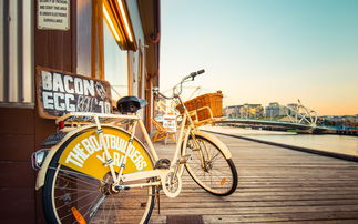 款款造句，款款造句子短一点