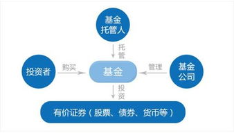 基金新手教程，基金新手教程公众号