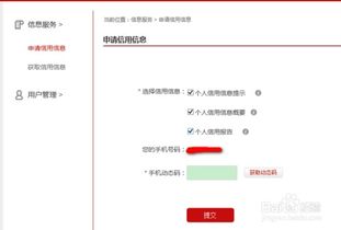 怎么查个人征信，怎么查个人征信有没有问题
