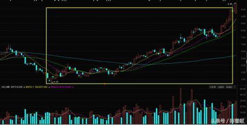 小流通盘股票，小流通盘股票什么地方看的到?
