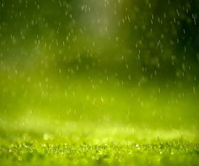 漂亮的春雨图片，漂亮的春雨图片简笔画