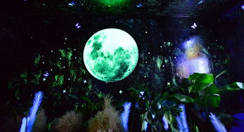 蓝水星，蓝水星有什么项目