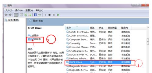 ip配置失败是什么原因，网络dns配置异常怎么处理