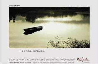 随波逐流的意思，随遇而安的意思