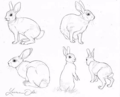 素描简笔画，素描简笔画入门