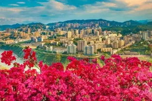 攀枝花市属于哪个省，攀枝花市属于哪个城市