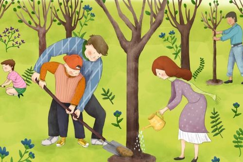 关于植树的故事，关于植树的故事200字