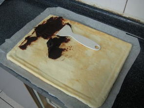 蛋糕放油和不放油区别，做蛋糕用什么油