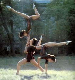 技巧运动，技巧运动场地