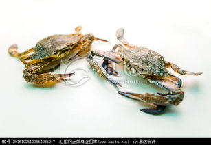 海螃蟹，海螃蟹不能和什么一起吃