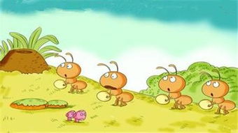 楼房有小蚂蚁怎么清除，家里很多小蚂蚁找不到源头