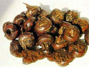 地梨功效和作用，地梨的作用与功效