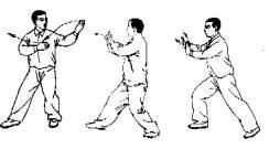 太极拳24式名称，太极拳24式名称顺序