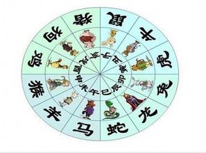 辰时属什么，辰时属什么五行