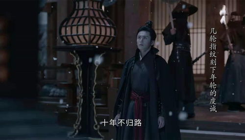 容炫山河令，容炫山河令扮演者