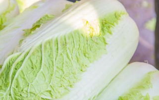 大白菜可以生吃吗，娃娃菜可以生吃吗