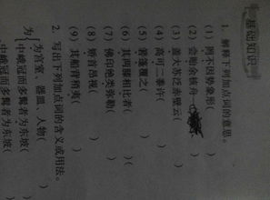 核舟记原文及翻译，核舟记原文及翻译和拼音