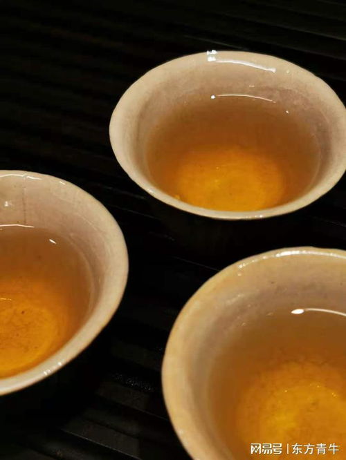 茶英语，茶英语单词怎么读