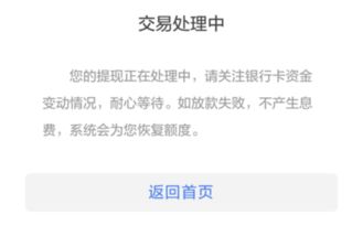 安逸花交易处理中什么意思，安逸花交易提醒