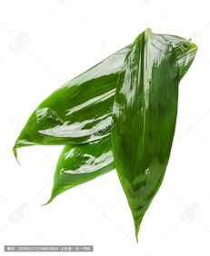 粽子叶，粽子叶是属于什么垃圾