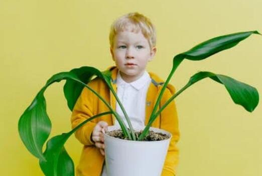 十一画的起名吉利字男孩，十二画的起名吉利字男孩