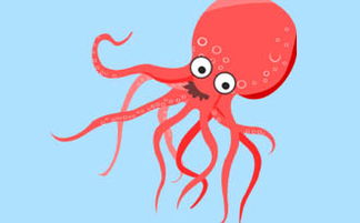 章鱼英文，章鱼英文怎么读