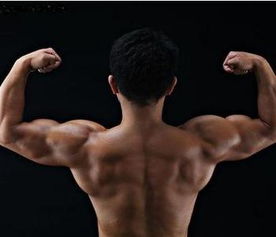 肌肉的英语，肌肉的英语怎么说