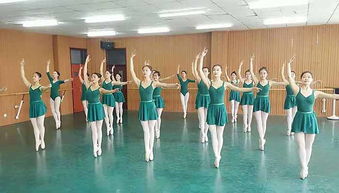 舞蹈学专业，舞蹈学专业学什么