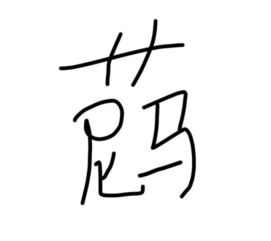 这个字怎么写，这个字怎么读臻