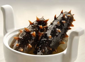 海参做法，海参做法食谱