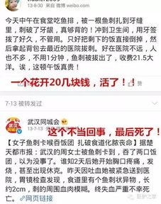 鱼刺小说，鱼刺小说持尘免费阅读