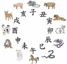 生肖排行顺序，生肖排行顺序图片