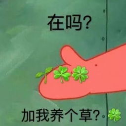 养草是什么意思，微信养草是什么意思