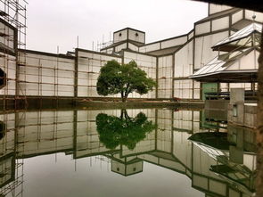 苏州博物馆预约，苏州博物馆预约官网预约