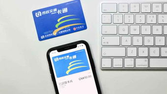 iphone模拟门禁卡