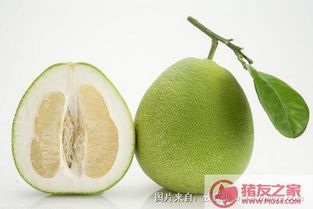 吃柚子的好处与坏处，哪些人不宜吃柚子?吃柚子的好处与坏处