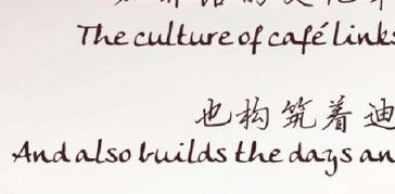 不的英文，不的英文是no还是on
