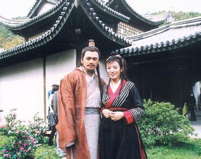 镇南王，镇南王什么梗