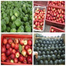 山东水果，山东水果批发市场大全