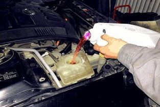 如何换防冻液，换一次防冻液大概需要多少钱