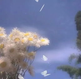 优质背景图，优质背景图治愈系