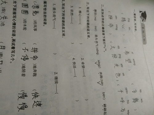 继续的反义词是什么，继续的反义词是什么标准答案