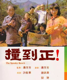 撞到正，撞到正林正英电视剧在线观看