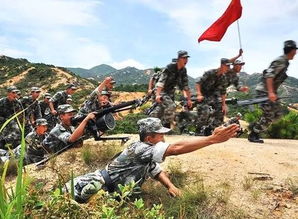锤炼是什么意思，垂念是什么意思