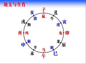 时辰属相，时辰属相和年份属相哪个更重要