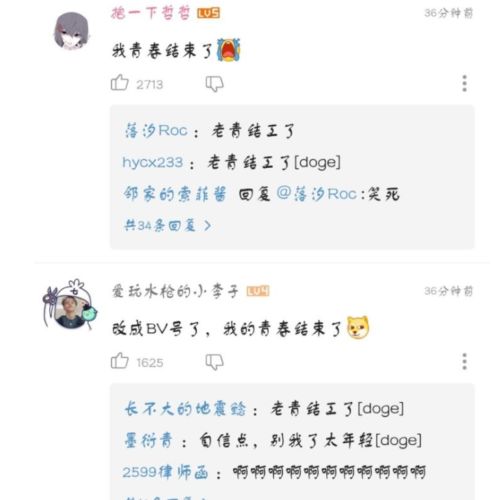 青的意思，靓的意思