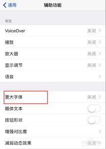 苹果手机字体大小怎么设置?