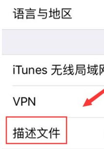 苹果怎么信任企业级开发者ios14