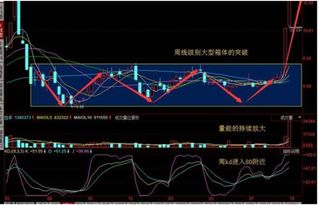 股票交易是什么意思?