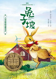 兔子坡的主要内容